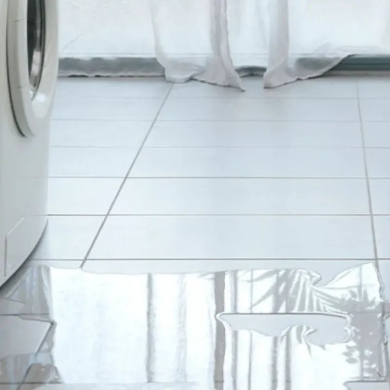 Appliance Leak Cleanup in Bradenton, FL
