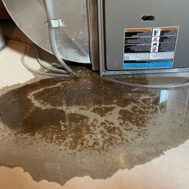 Pipe Burst and Leak Restoration in Bradenton, FL